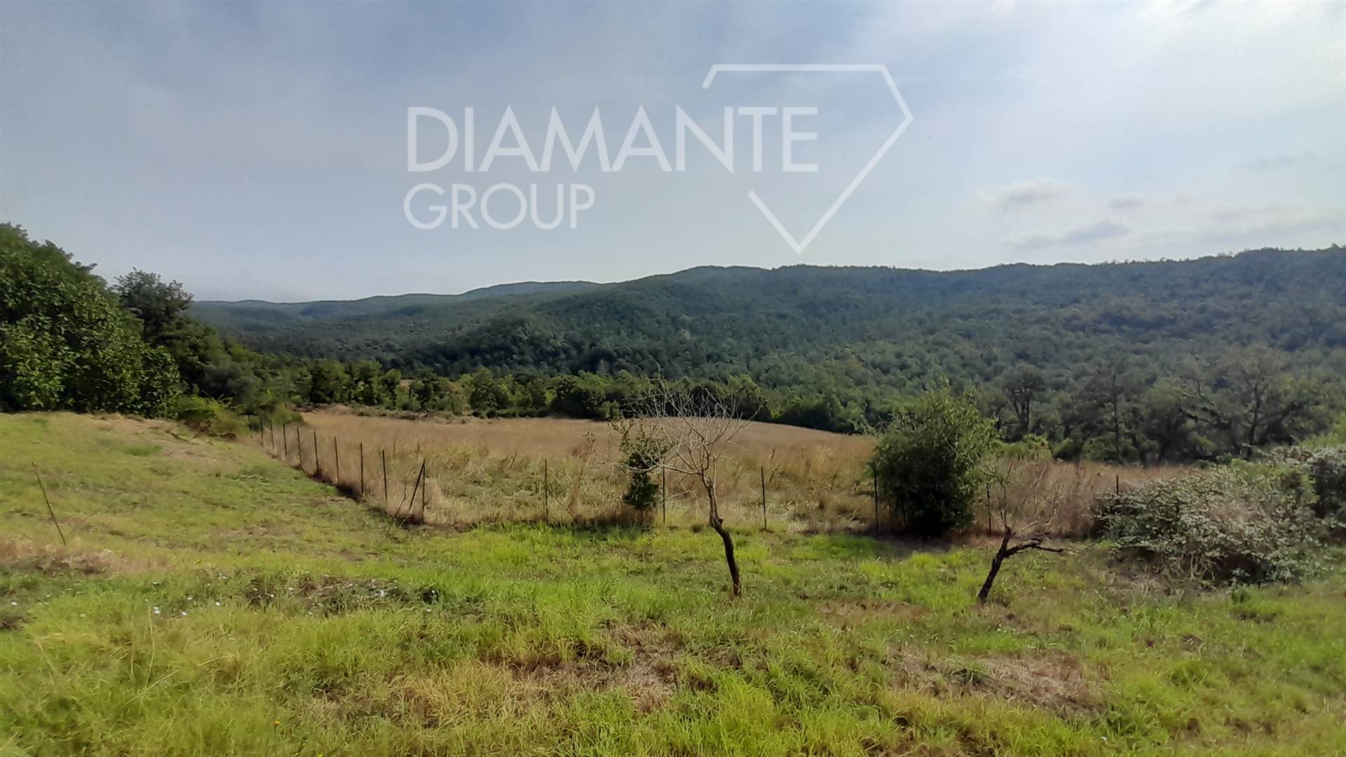 /api/file/public/265619/32414