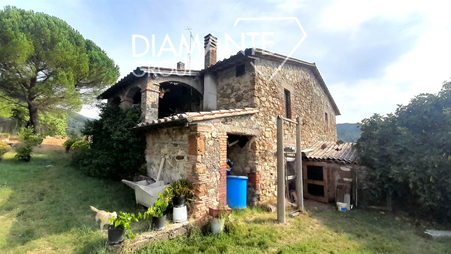 /api/file/public/265619/32416