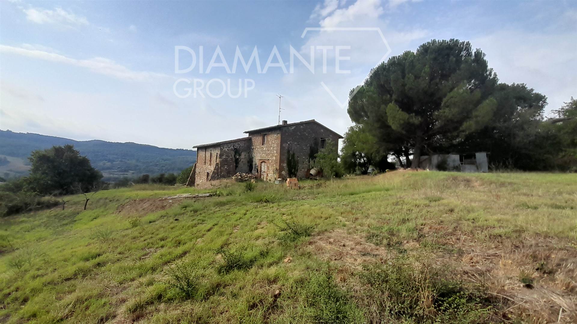 /api/file/public/265619/32417