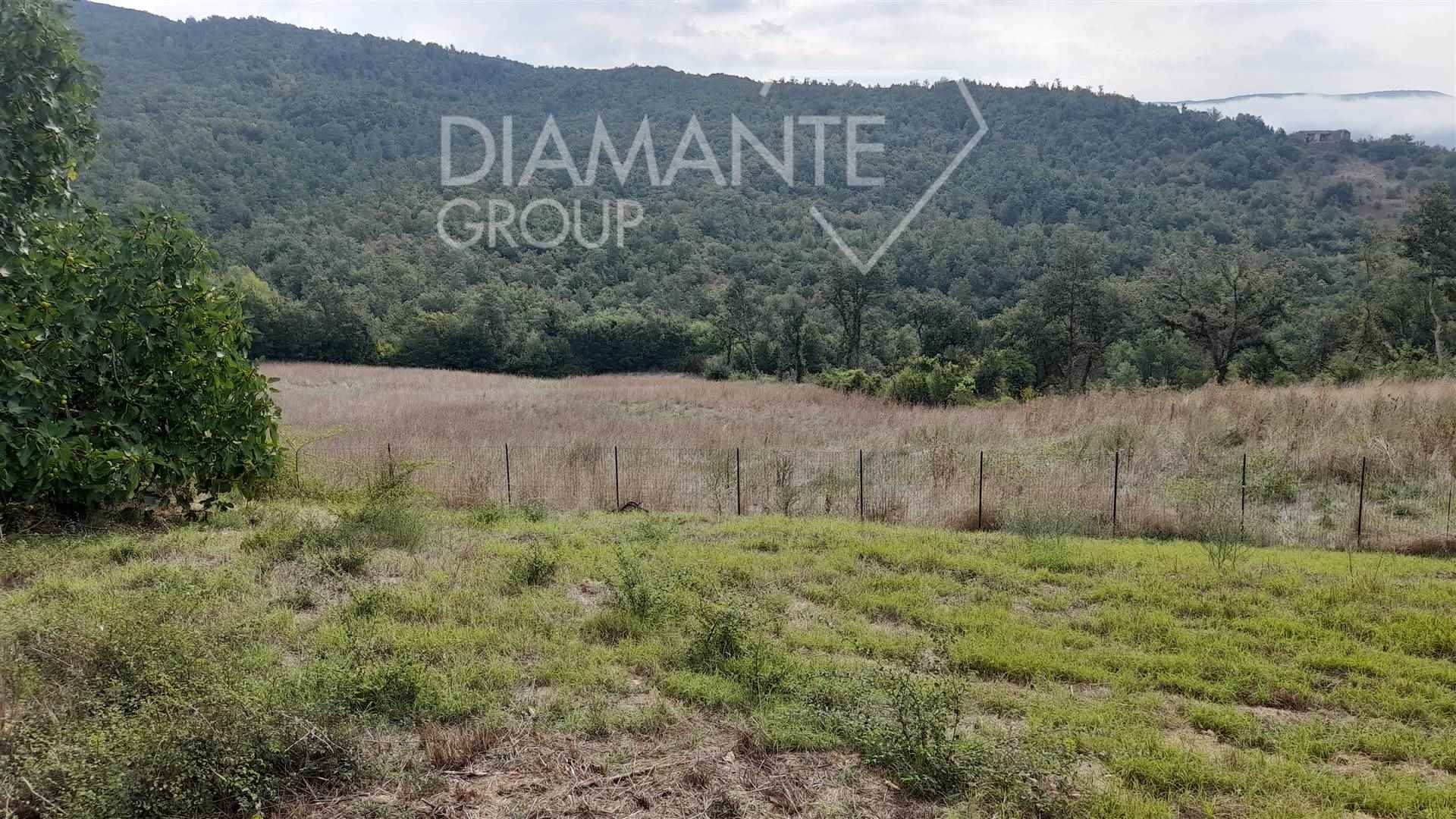 /api/file/public/265619/32418