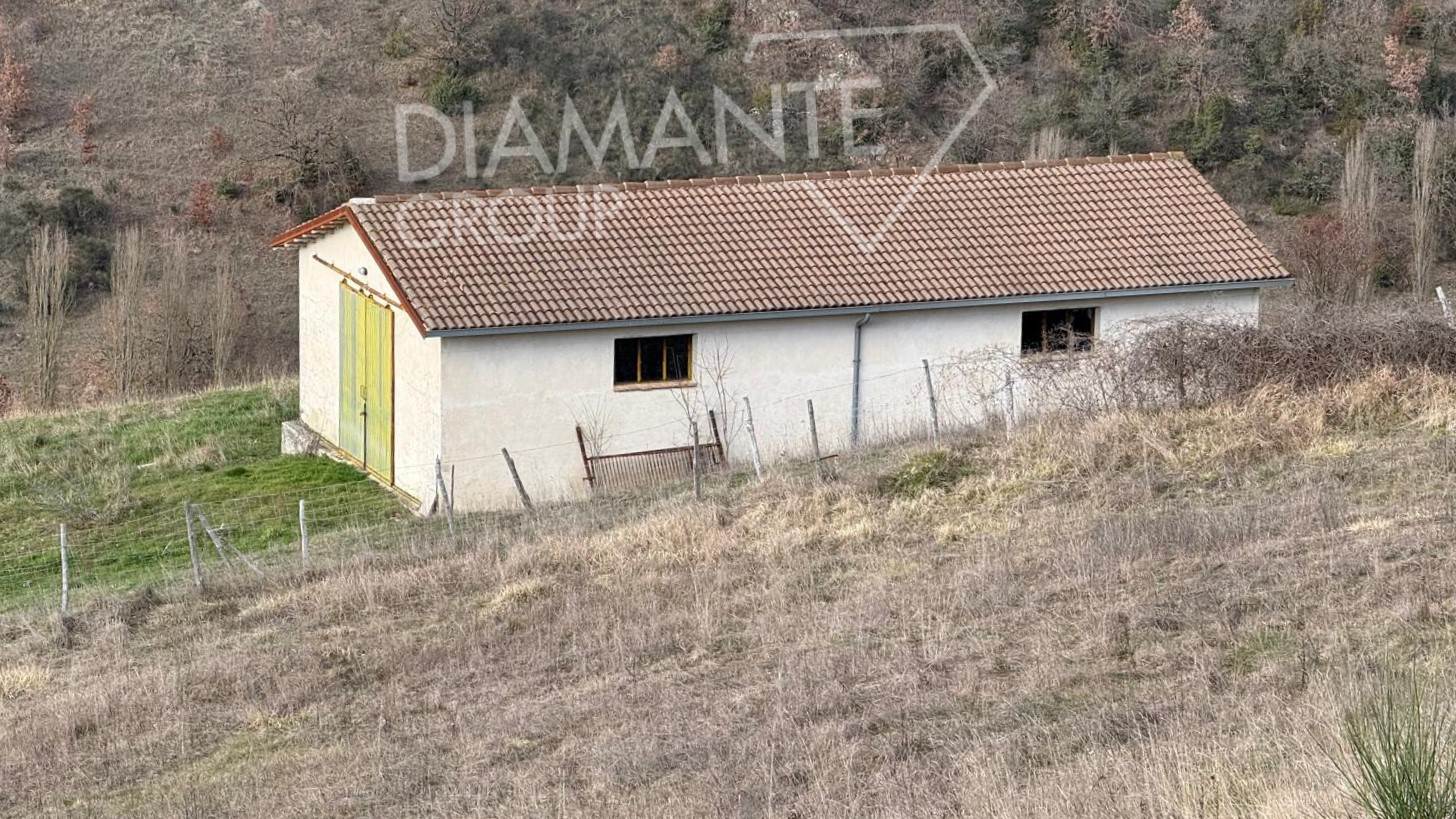 /api/file/public/265621/32431