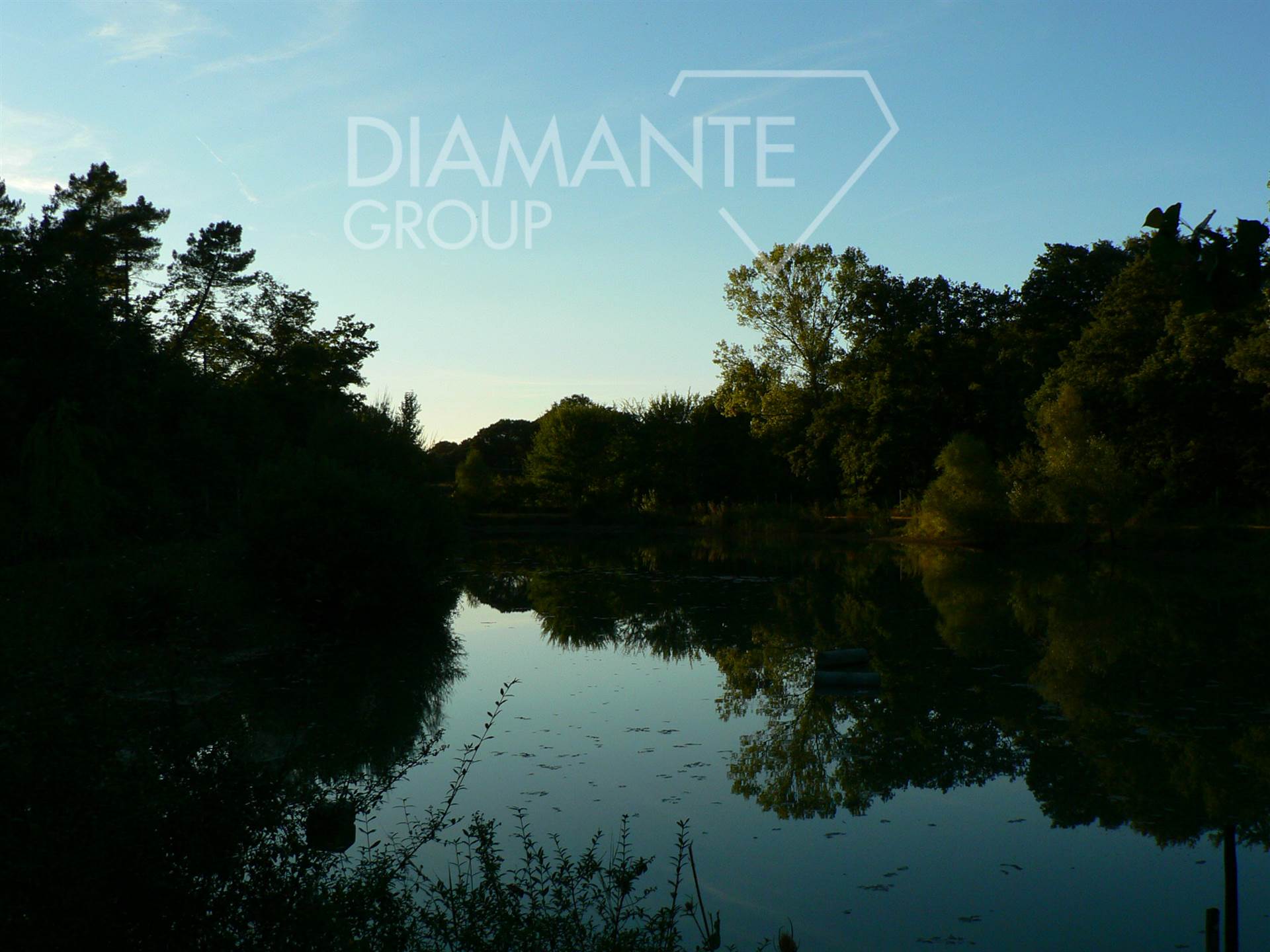 /api/file/public/265622/32435