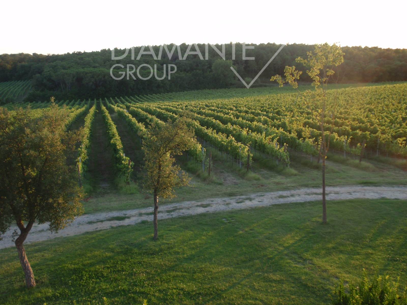 /api/file/public/265622/32436