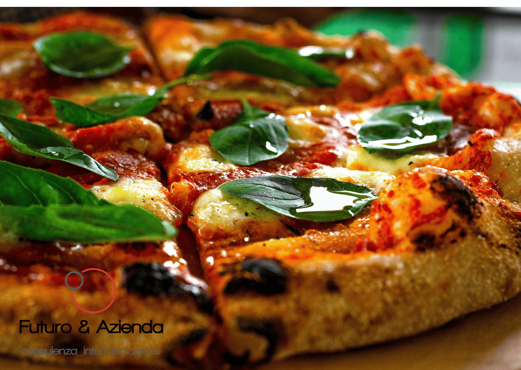 /api/file/public/265624/32444