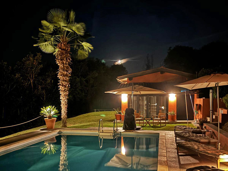 /api/file/public/265638/32511