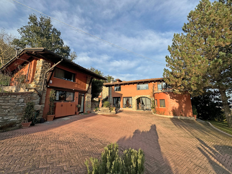 /api/file/public/265638/32516