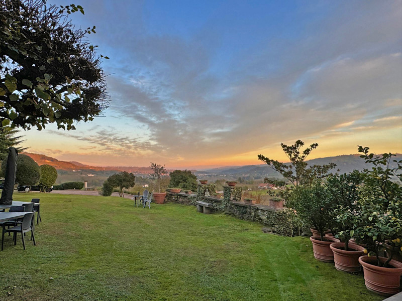 /api/file/public/265638/32517