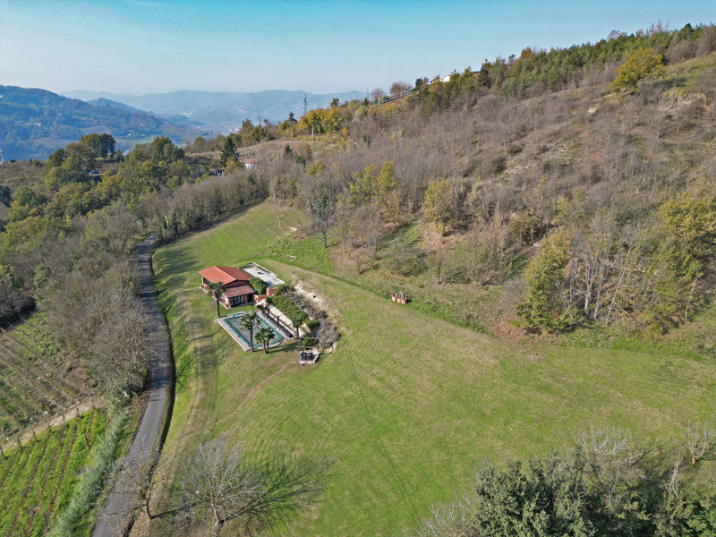 /api/file/public/265638/32524