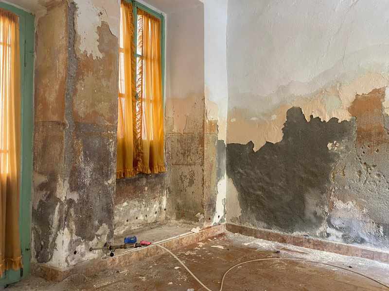 /api/file/public/4801/28627