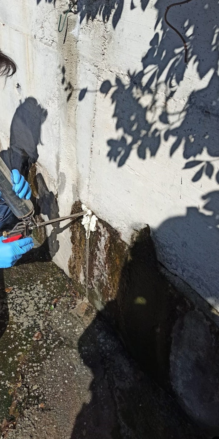 /api/file/public/4801/28634