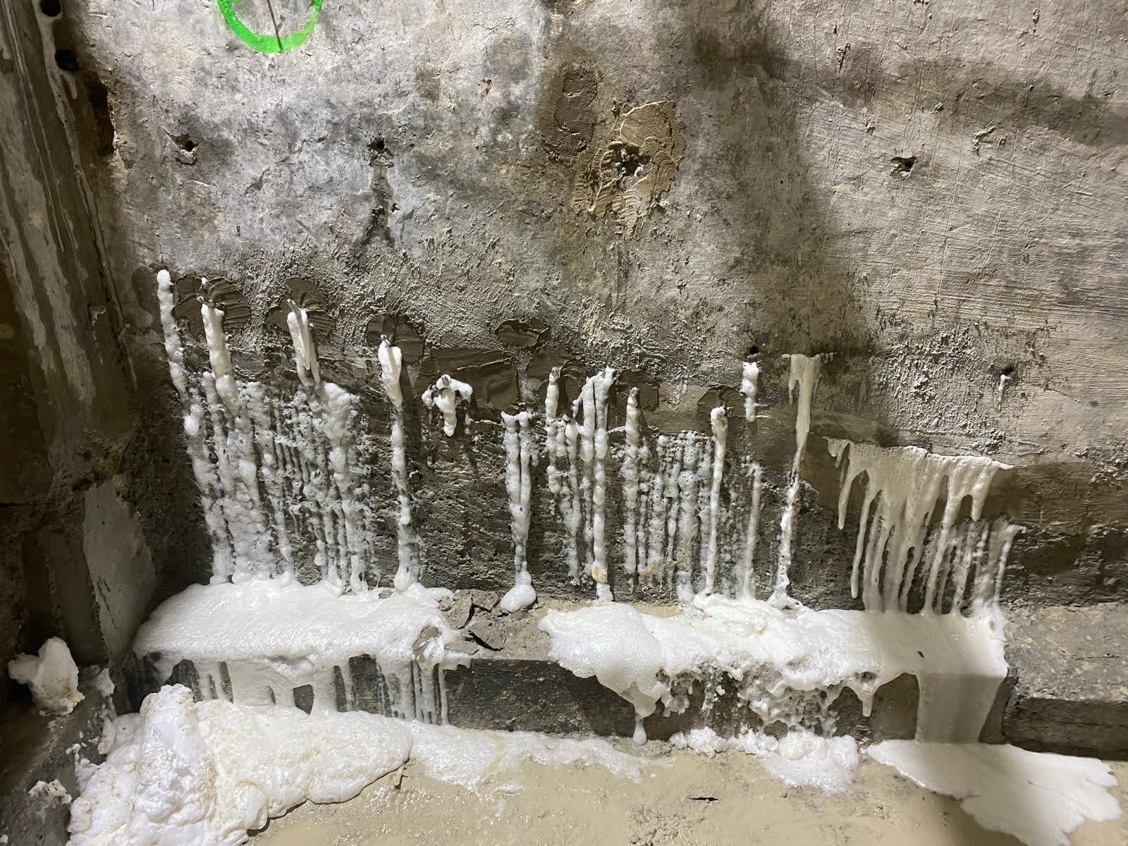 /api/file/public/4801/28636