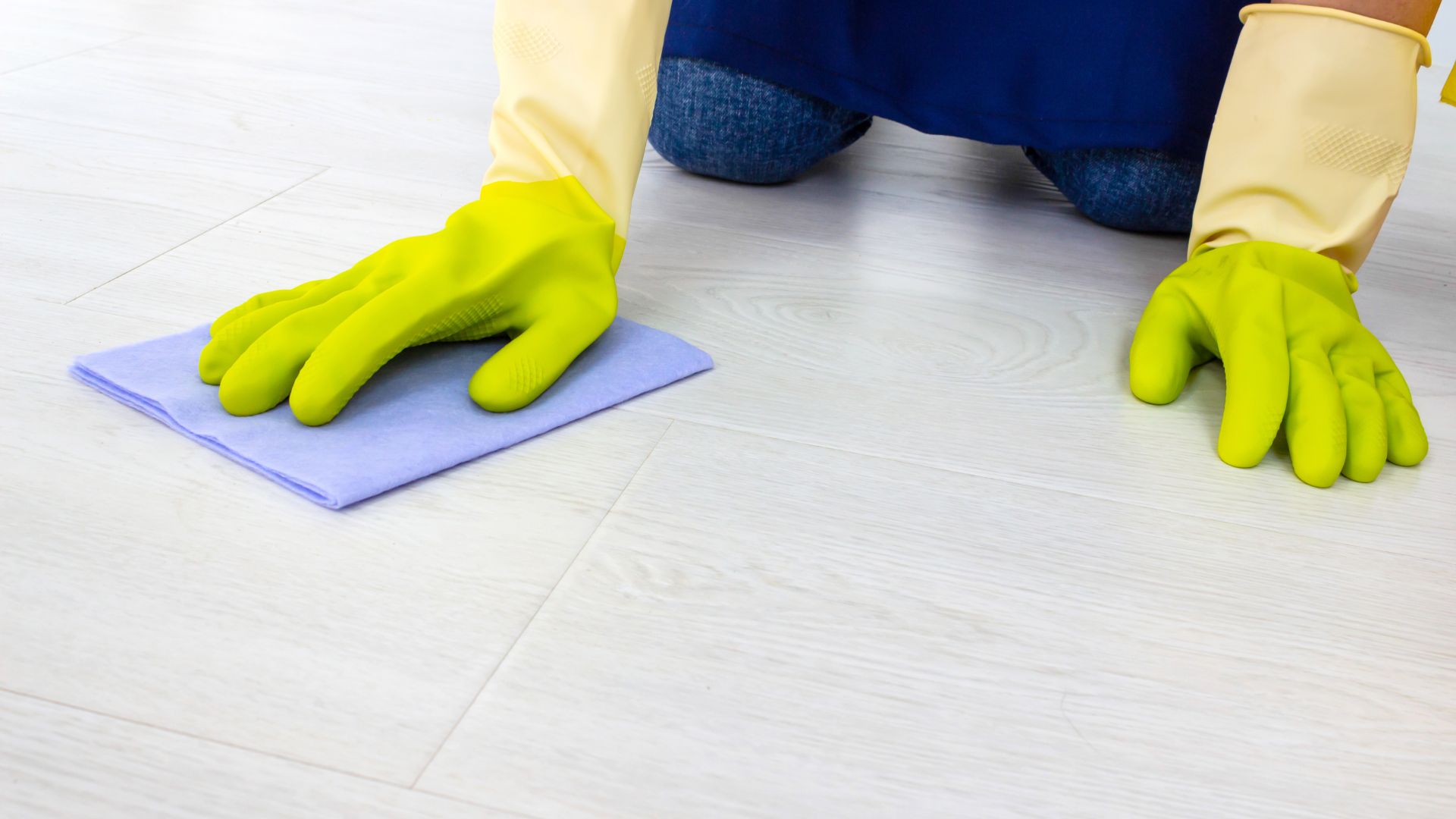 /api/file/public/local/stock/19/9521