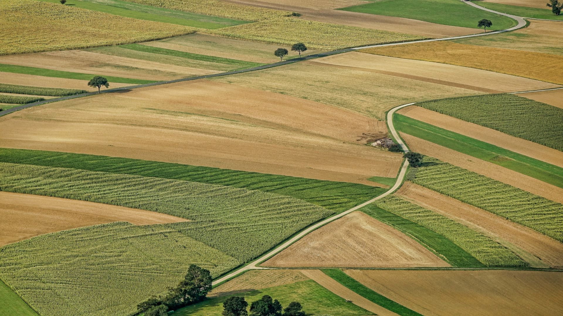 azienda-agricola-ad-argelato