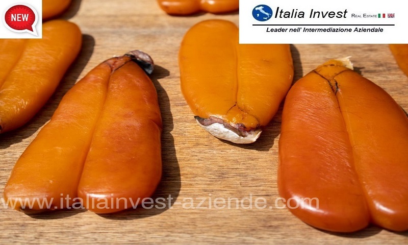 fabbriche-industriali in vendita Sardegna