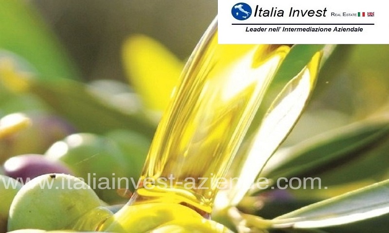 fabbriche-industriali in vendita Sardegna