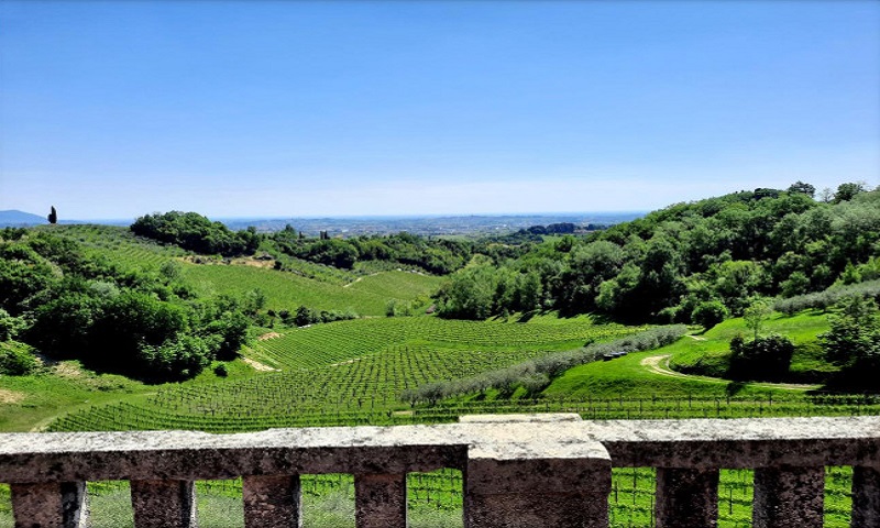 aziende-agricole in vendita Veneto
