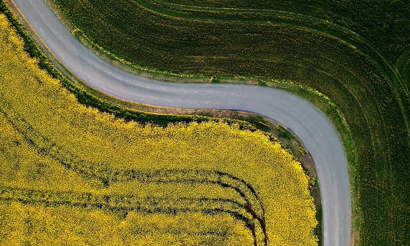 terreni-agricoli in vendita Veneto