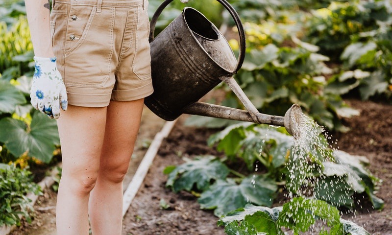 aziende-agricole in vendita Friuli Venezia Giulia