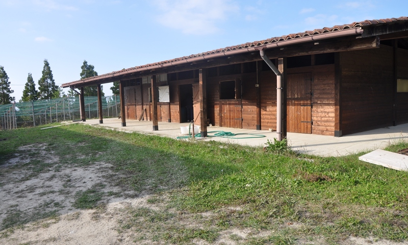 aziende-agricole in vendita Piemonte