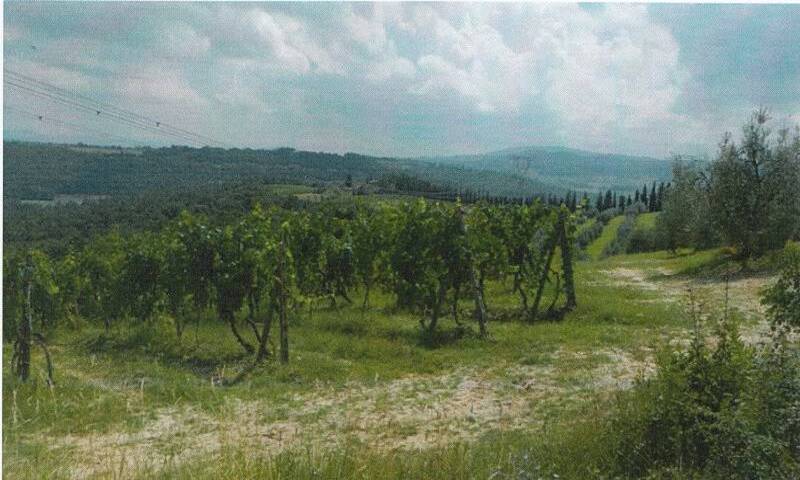aziende-agricole in vendita Toscana