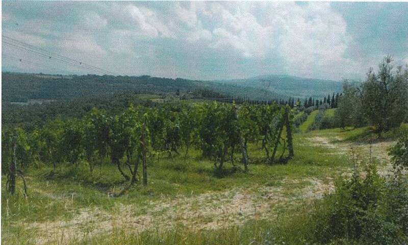 aziende-agricole in vendita Toscana
