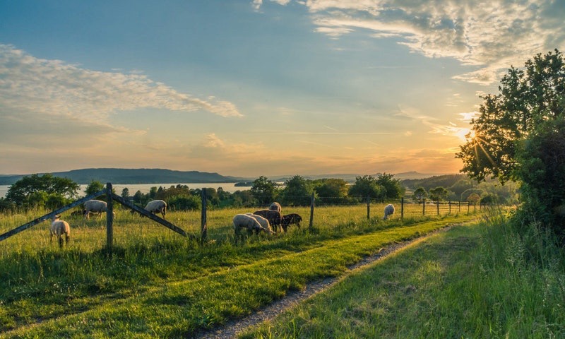aziende-agricole in vendita Emilia Romagna