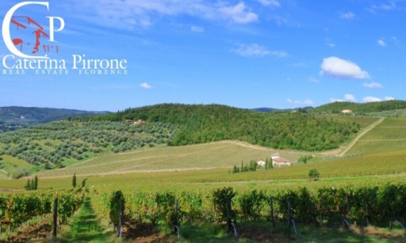 aziende-agricole in vendita Toscana