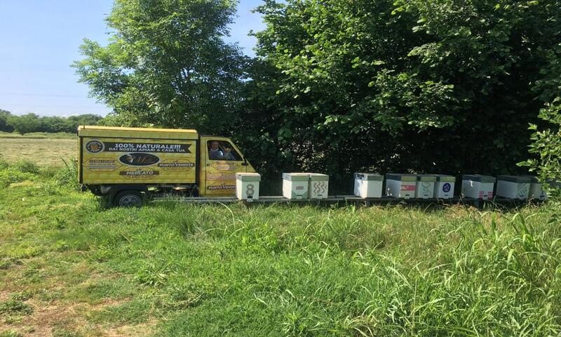 aziende-agricole in vendita Piemonte