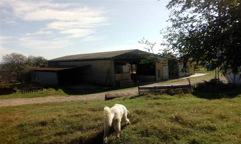 aziende-agricole in vendita Toscana