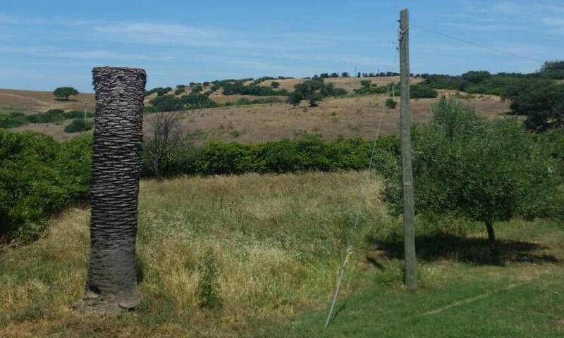 aziende-agricole in vendita Toscana