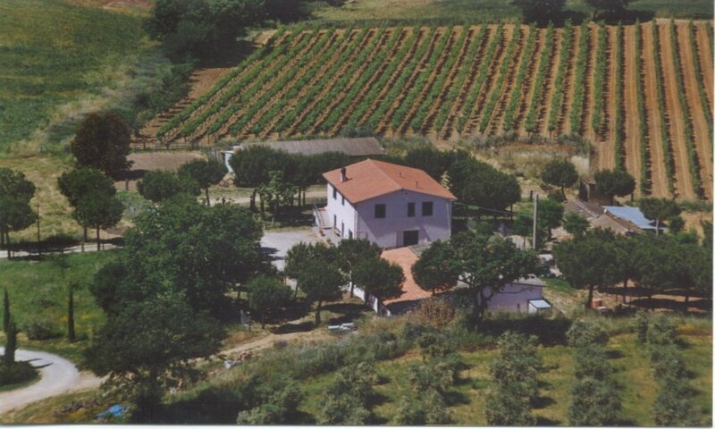 aziende-vinicole in vendita Toscana
