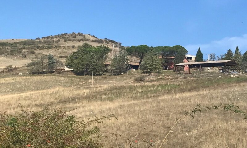 aziende-agricole in vendita Toscana