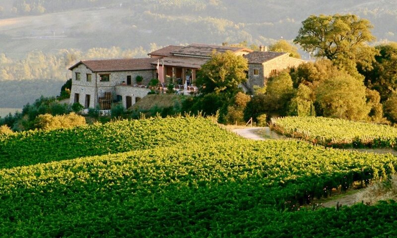 aziende-vinicole in vendita Umbria