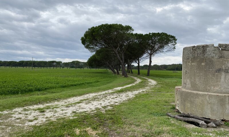  in vendita Umbria