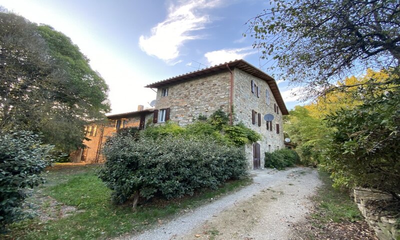 aziende-agricole in vendita Umbria