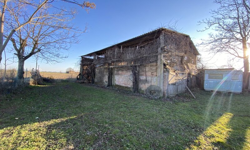 aziende-agricole in vendita Toscana