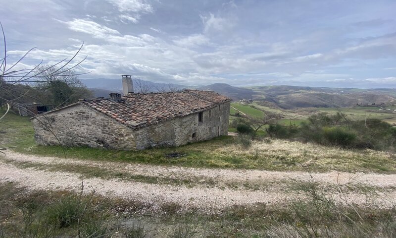 aziende-agricole in vendita Umbria