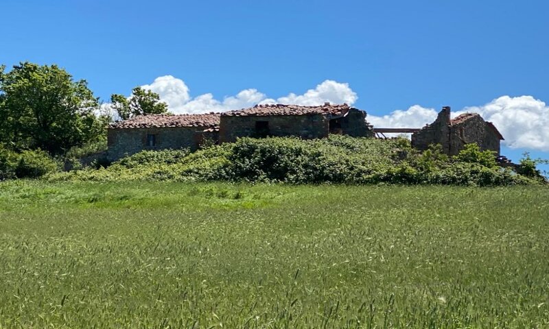 aziende-agricole in vendita Toscana