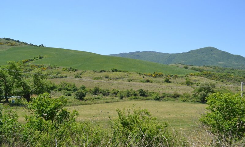 aziende-agricole in vendita Toscana
