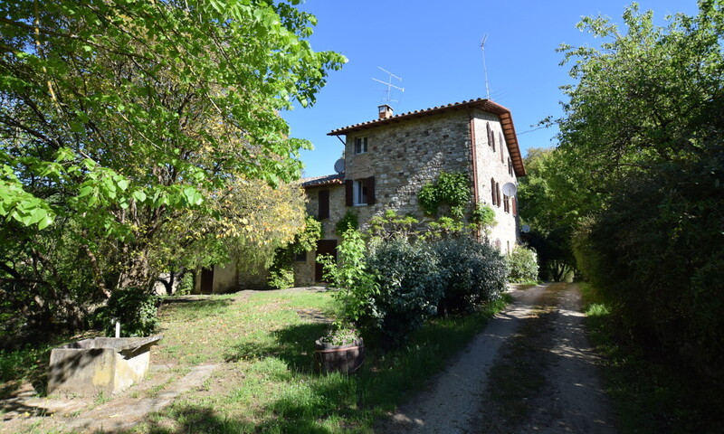 aziende-agricole in vendita Umbria