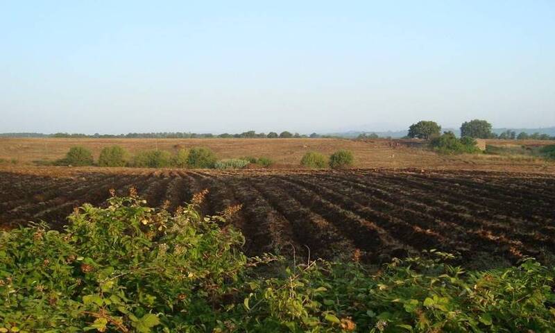 aziende-agricole in vendita Umbria