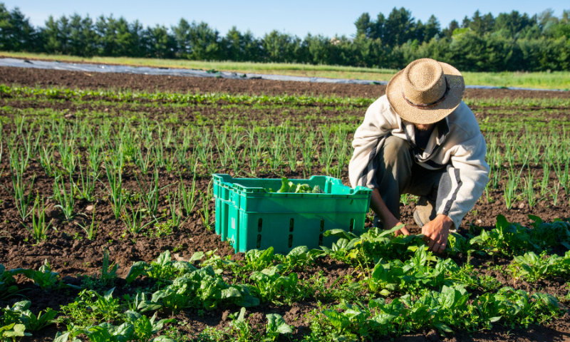 aziende-agricole in vendita Emilia Romagna