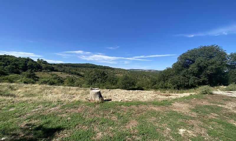 aziende-agricole in vendita Umbria