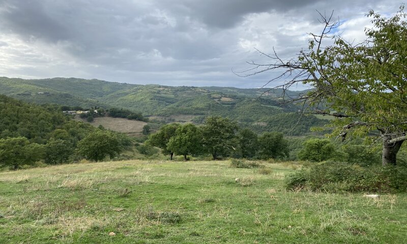  in vendita Umbria