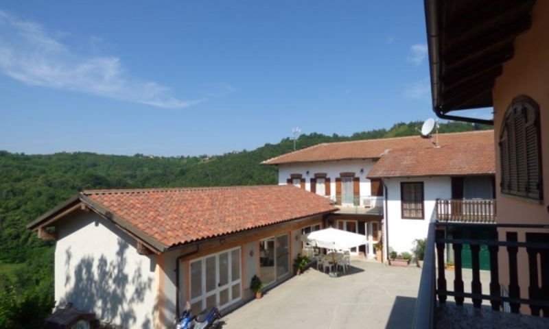 aziende-agricole in vendita Piemonte