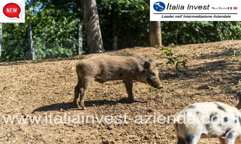  in vendita Sardegna
