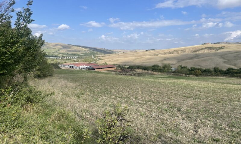aziende-agricole in vendita Toscana
