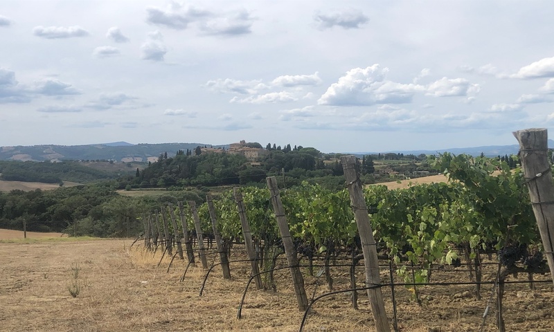aziende-agricole in vendita Toscana