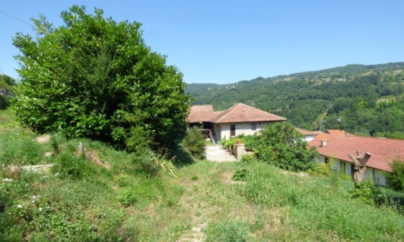 bed-and-breakfast in vendita Piemonte