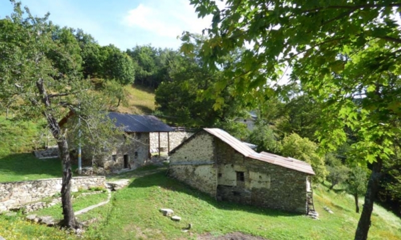 aziende-agricole in vendita Piemonte